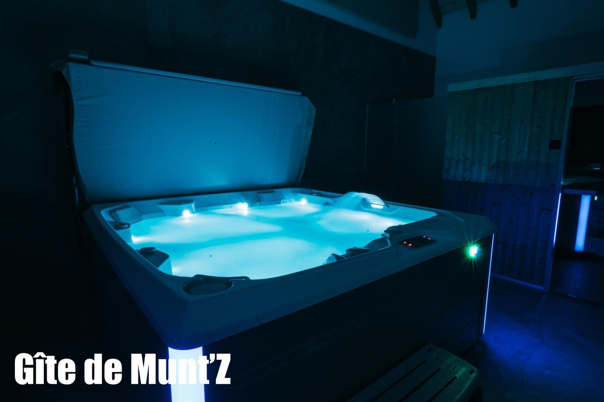Gîte de Munt'Z SPA, Sauna, piscine, proche de Colmar Muntzenheim Extérieur photo